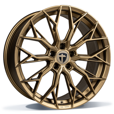 TN31_B Tomason TN31 19" bronze